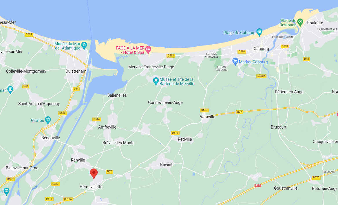 Google map