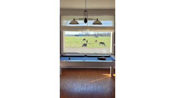 The pool table room