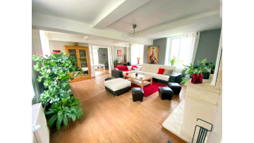 The living room