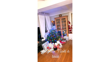 The living room