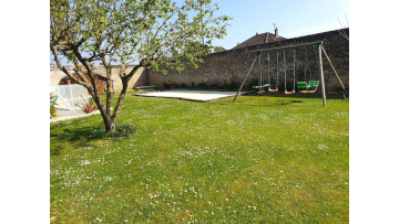 Pétanque & swing