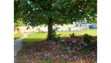 Outside